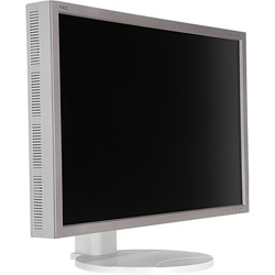������� 30" NEC MultiSync LCD3090WQXI, silver/bright grey