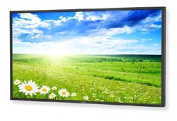������� 46" NEC MultiSync X461HB, black/black